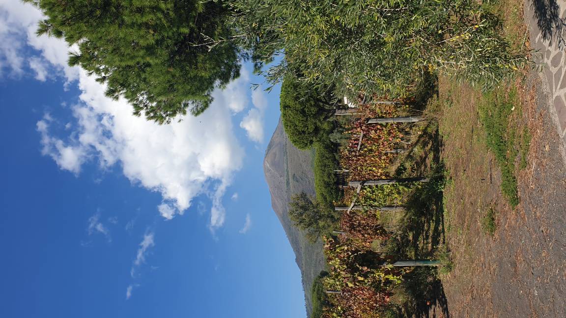Photo of Outdoor in Boscotrecase