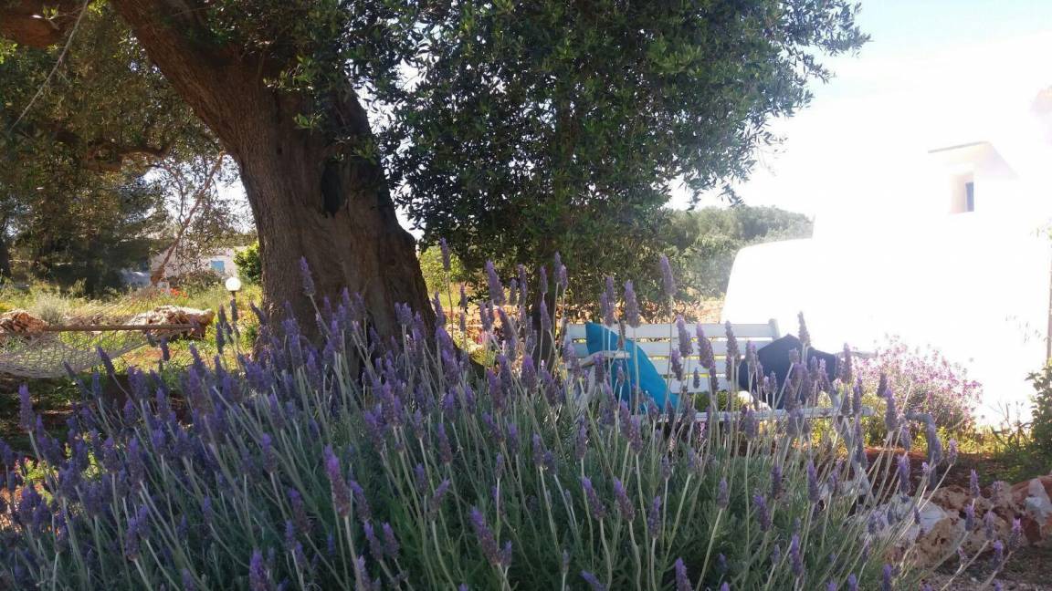 Photo of Others in Ostuni