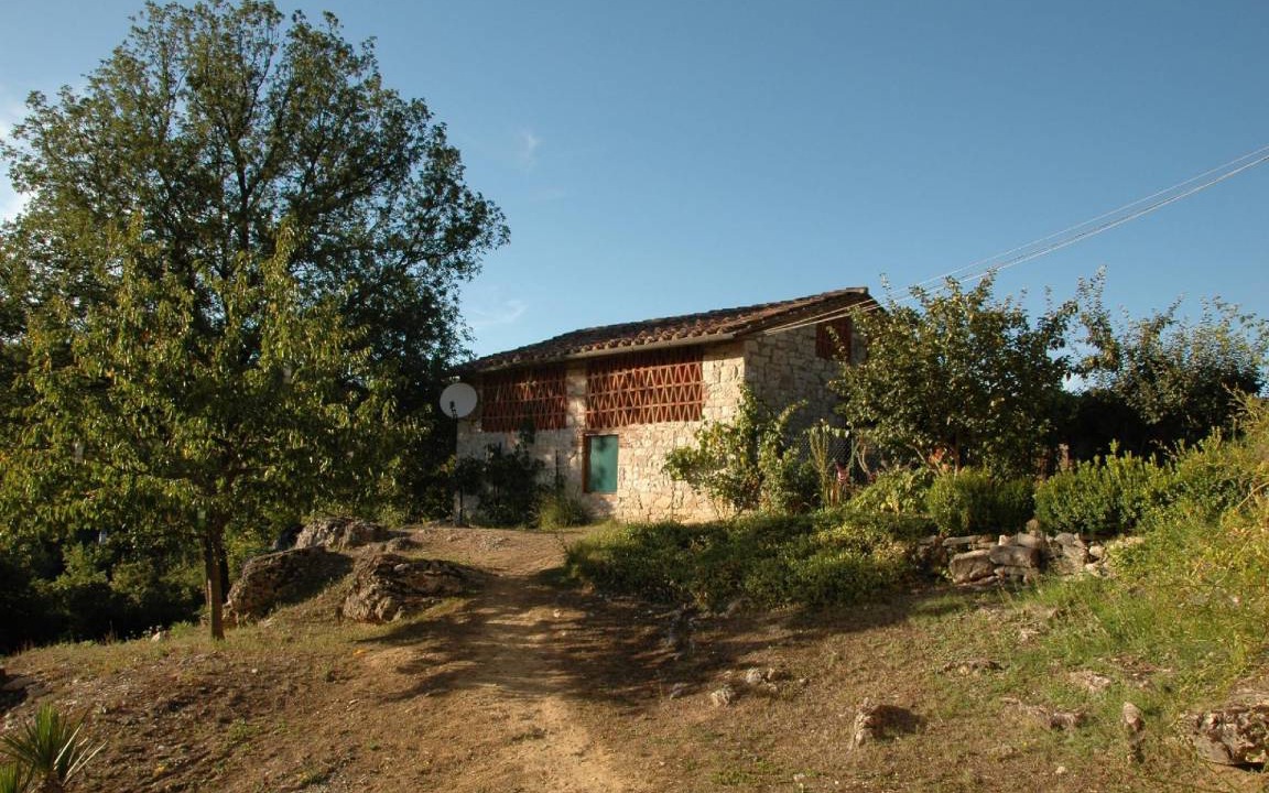 Photo of Others in Gaiole in Chianti