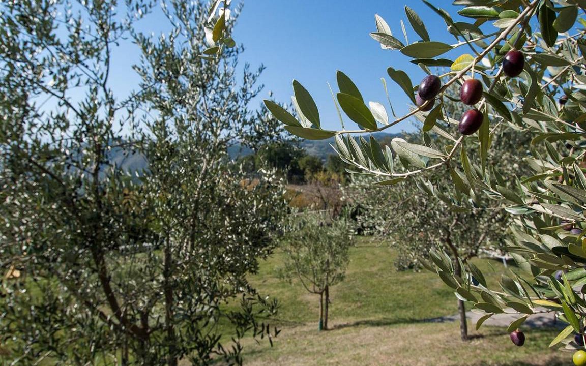 Photo of Others in Pratovecchio