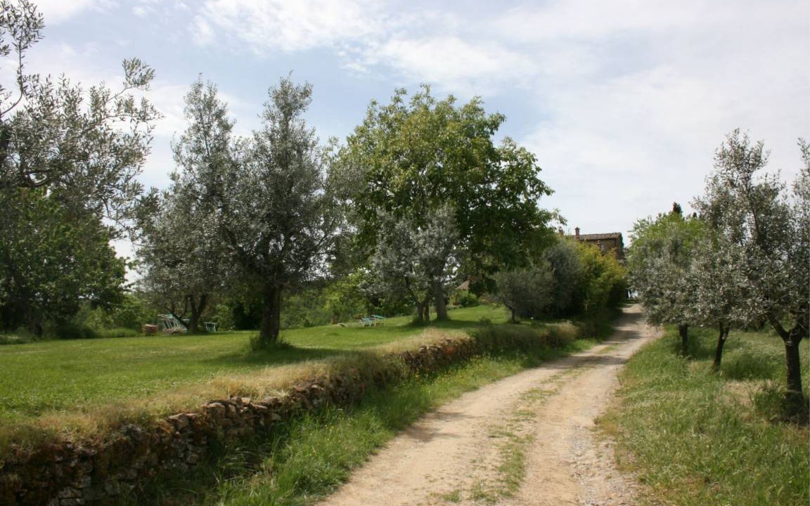 Photo of Others in Monte San Savino
