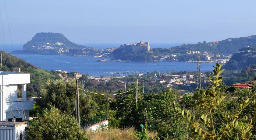 Photo of Others in Licola