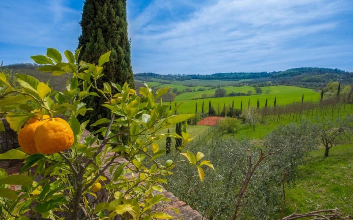Photo of Others in Monteroni d'Arbia