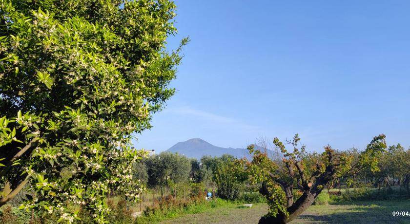 Photo of Outdoor in Pompei