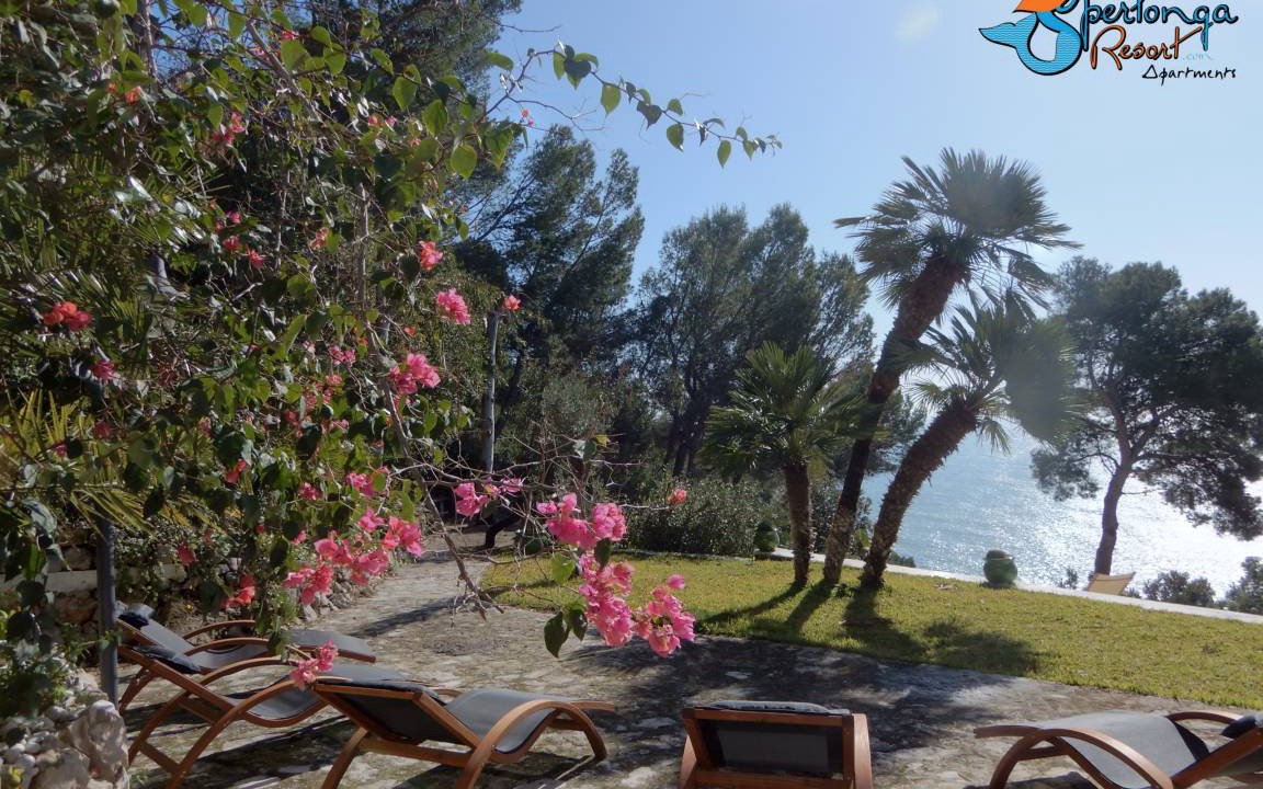 Photo of Others in Sperlonga