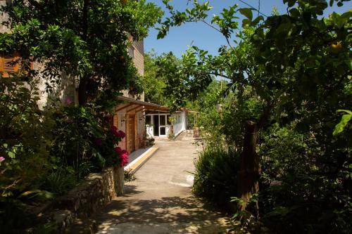 Photo of Others in Sant'Agnello