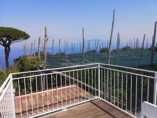 Photo of Others in Marina di Puolo
