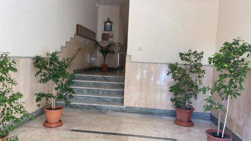 Photo of Others in Torre Annunziata