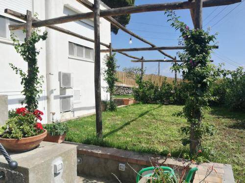 Photo of Others in Tiberio