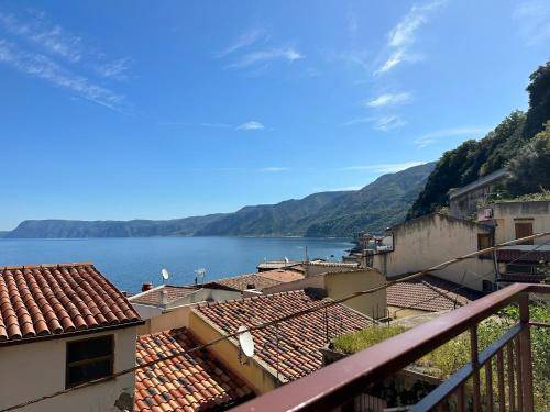 Photo of Others in Scilla