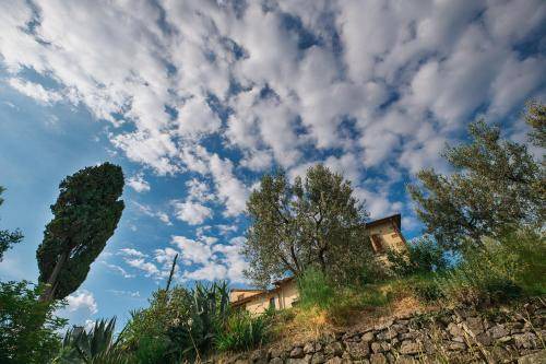 Photo of Others in Castiglion Fibocchi