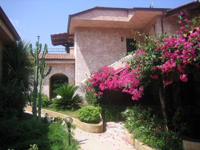 Photo of Others in Parghelia