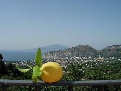 Photo of Others in Sant'Agnello