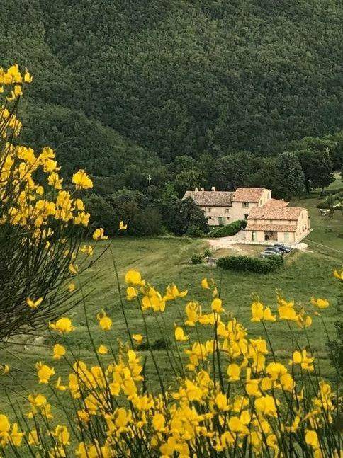 Photo of Others in Cagli
