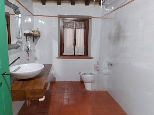 Photo of Bathroom in Terricciola