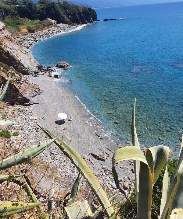 Photo of Others in Bonifati