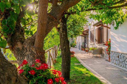 Photo of Others in Ravello