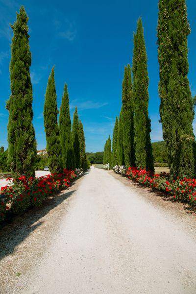 Photo of Outdoor in Cincelli