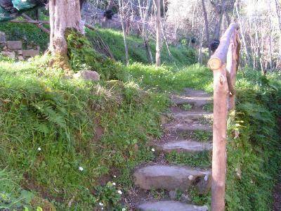 Photo of Others in Sant'Agnello