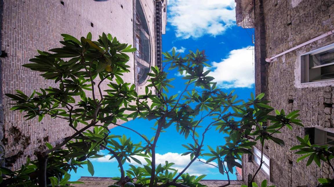 Photo of Others in Naples City Centre