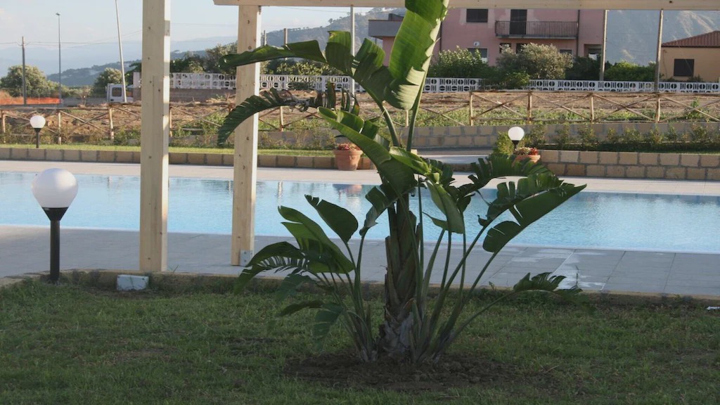 Photo of Others in Borgia