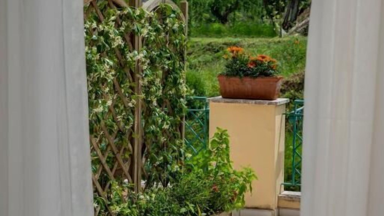 Photo of Bedroom in Ischia Porto