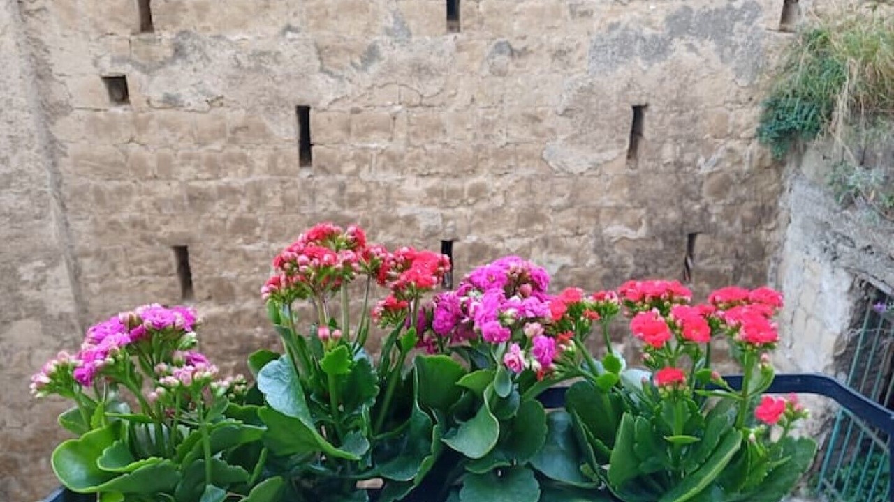 Photo of Outdoor in Rione Sanita