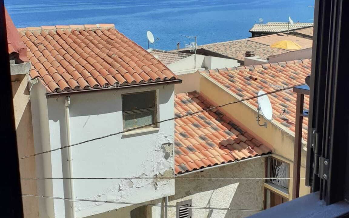 Photo of Others in Scilla