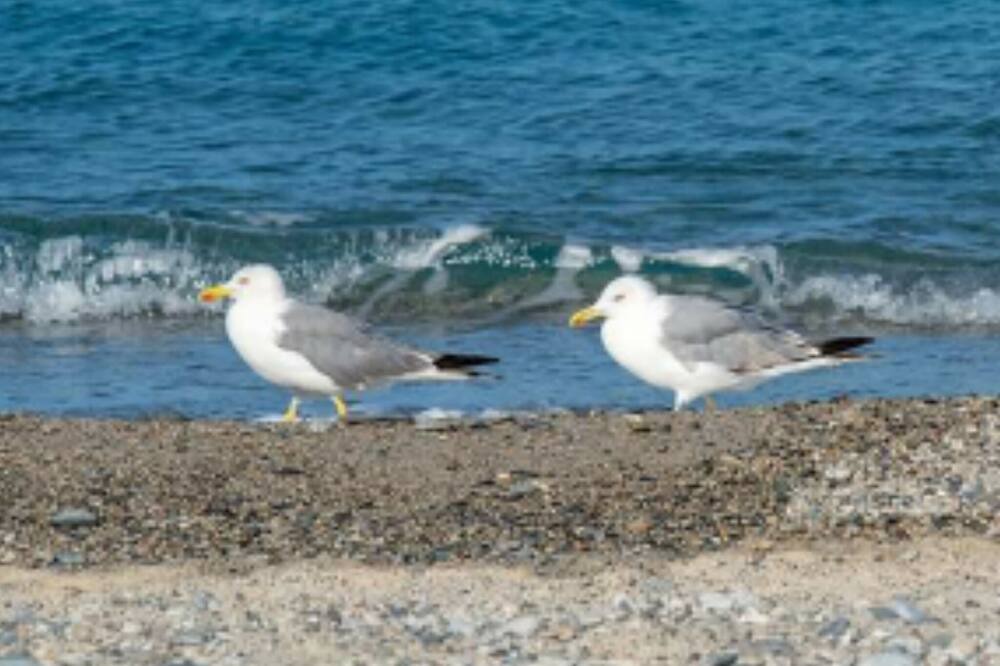 Photo of Others in Isca Marina