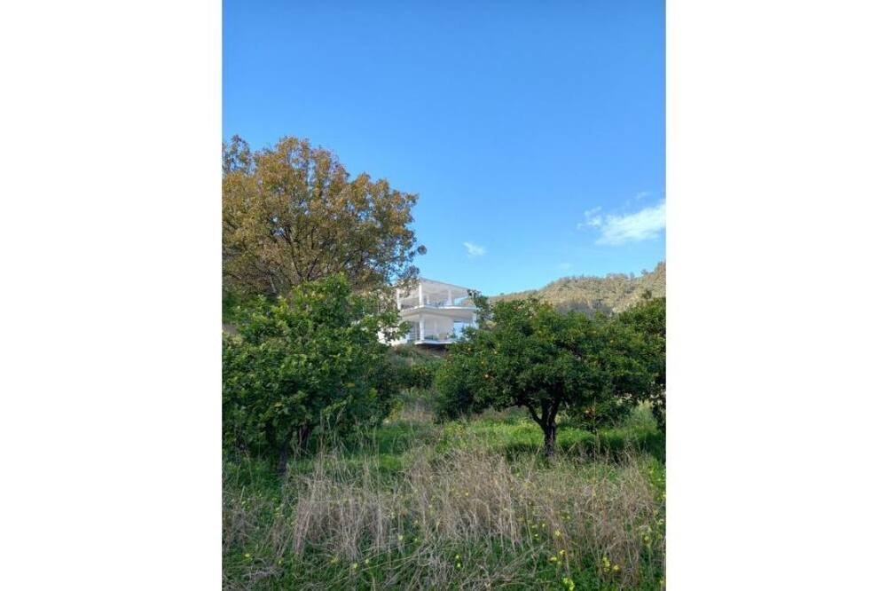 Photo of Others in Calalunga-Pietragrande