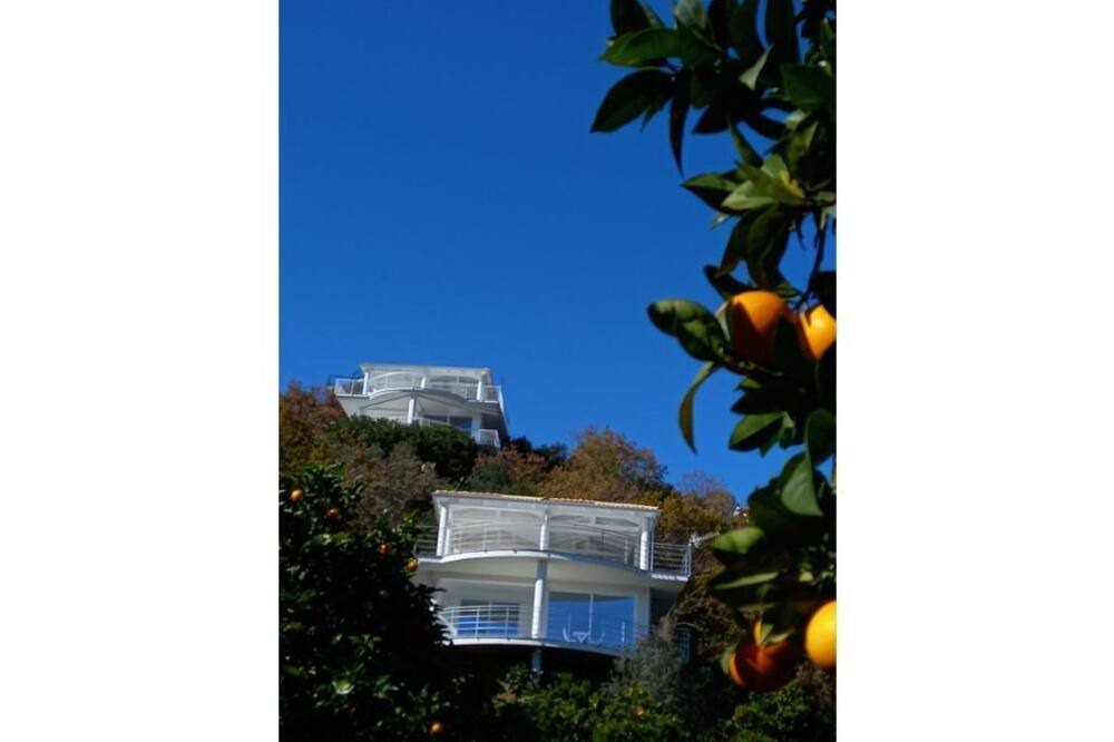 Photo of Outdoor in Calalunga-Pietragrande