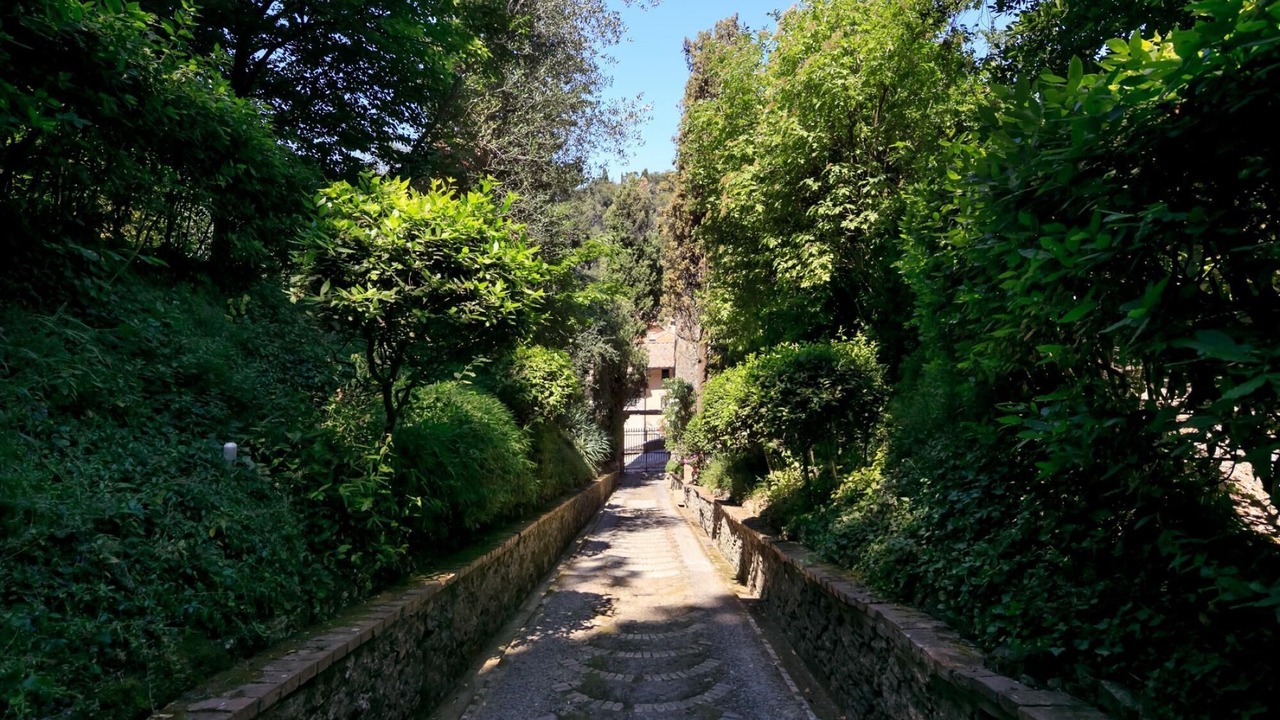 Photo of Others in Cetona