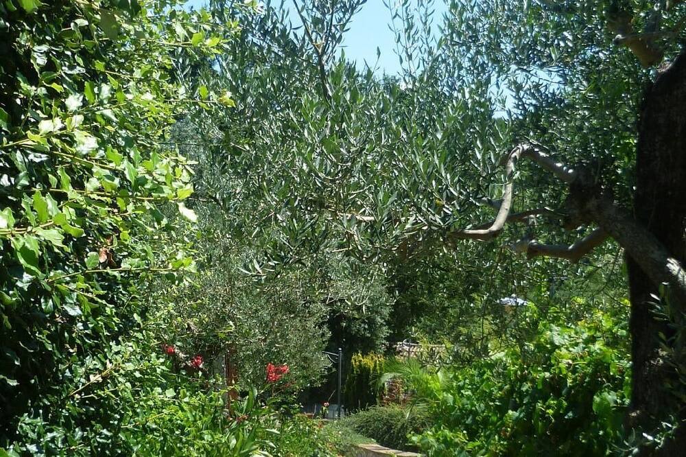 Photo of Outdoor in Alvignano