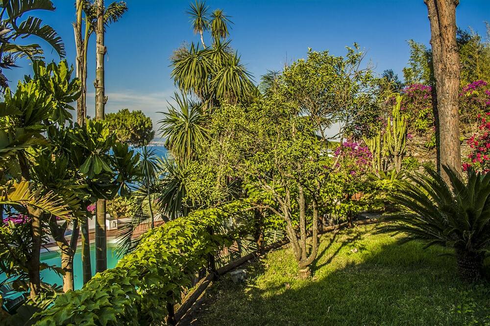 Photo of Outdoor in Casamicciola Terme