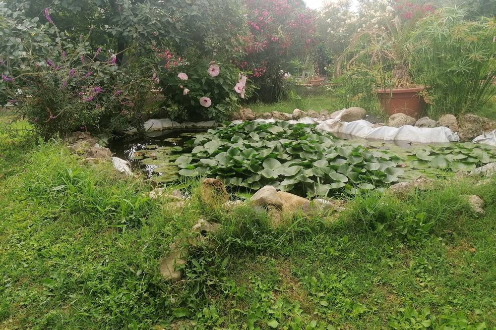 Photo of Outdoor in San Mauro Pascoli