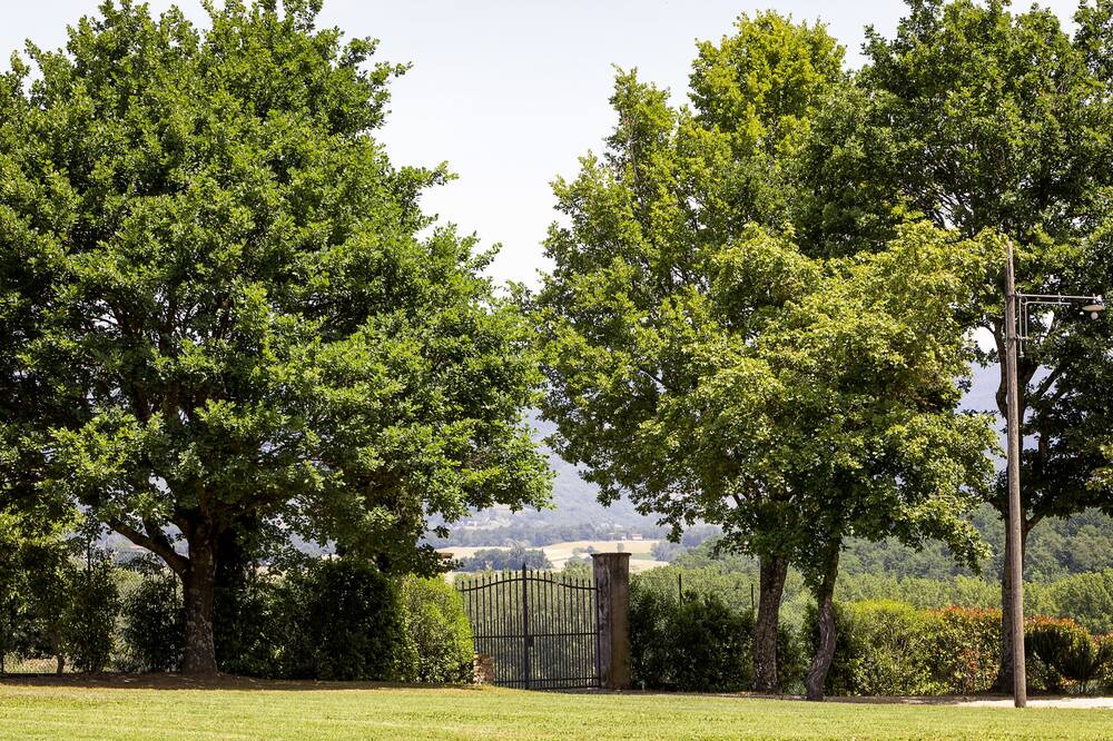 Photo of Outdoor in San Piero a Sieve