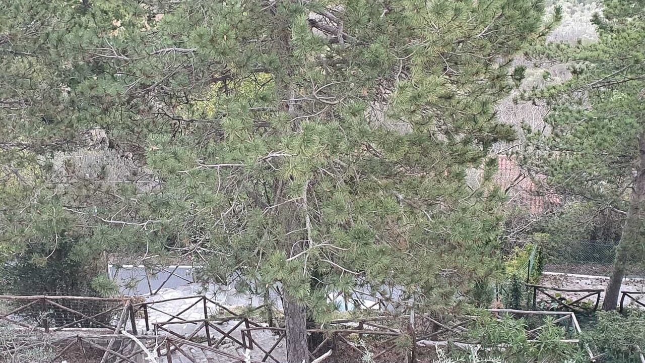 Photo of Outdoor in Licenza