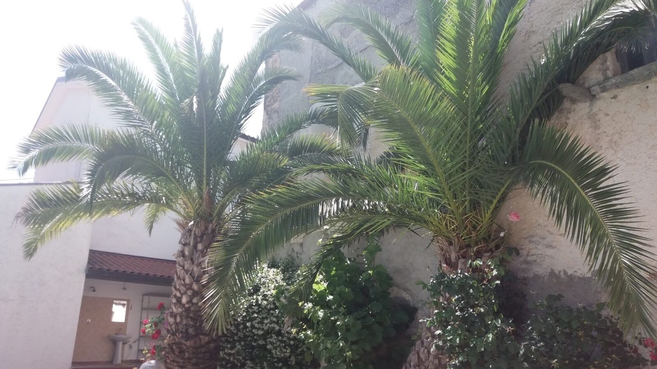 Photo of Outdoor in Filignano