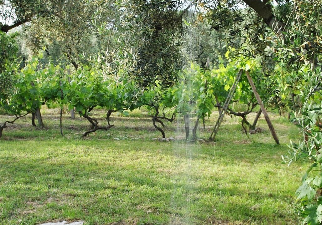 Photo of Outdoor in Itri