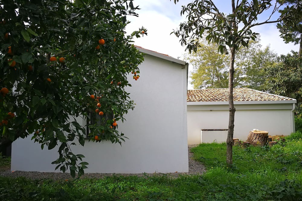 Photo of Outdoor in San Pietro a Maida