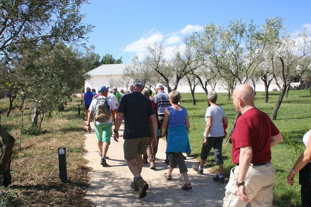 Photo of Others in San Pietro a Maida