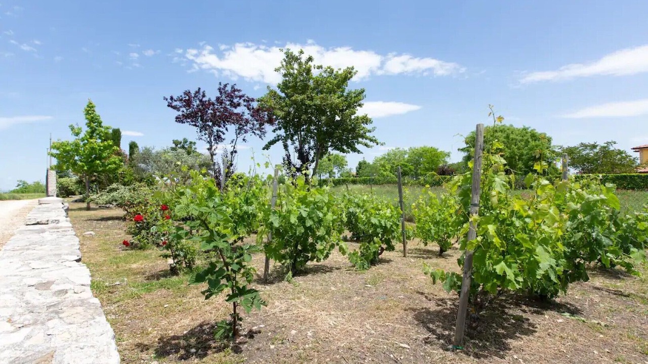 Photo of Outdoor in Oratino