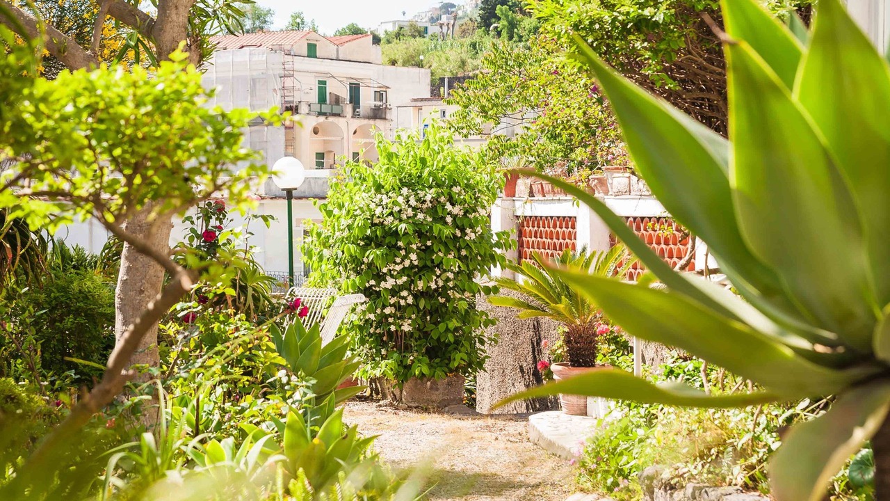 Photo of Outdoor in Ischia Porto
