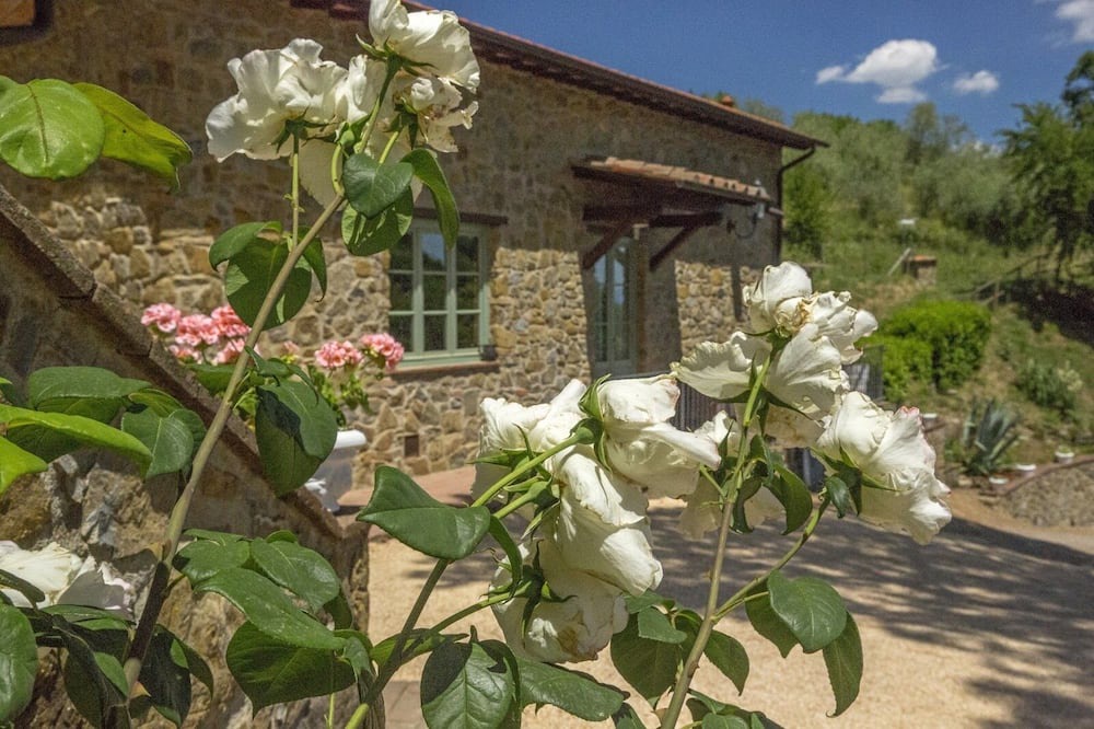 Photo of Outdoor in Starda