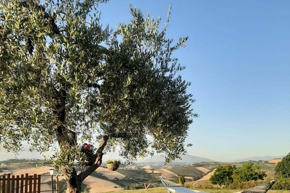 Photo of Outdoor in Carassai