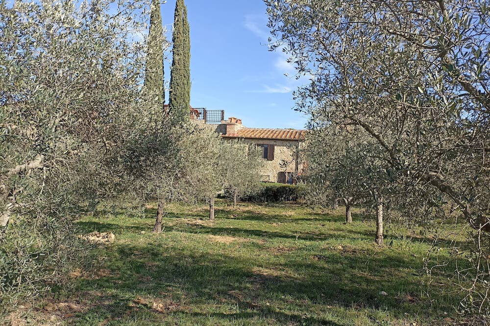 Photo of Outdoor in Giuncarico