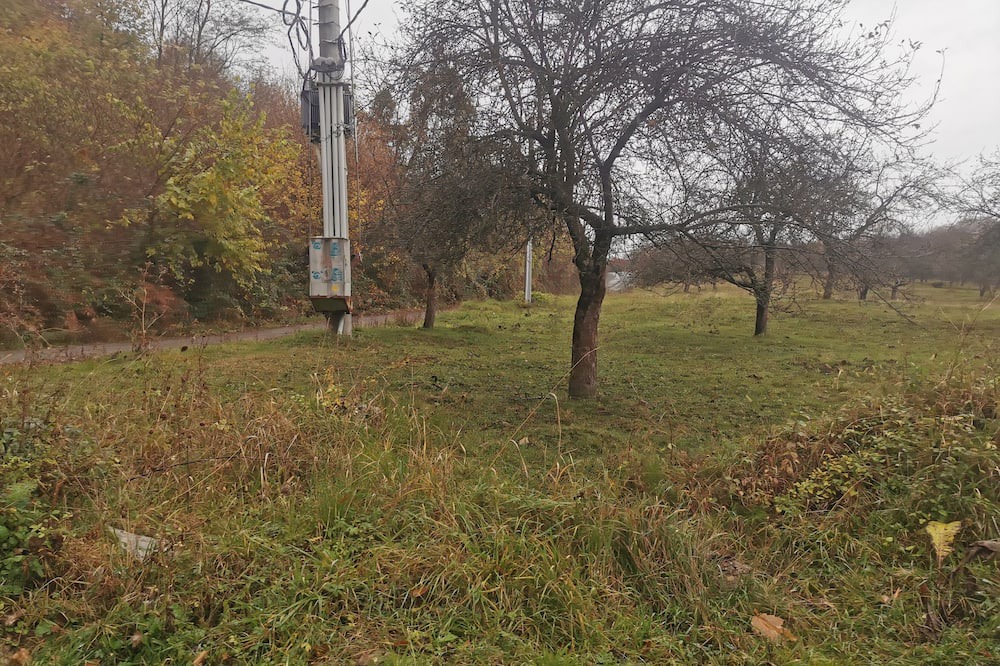 Photo of Others in Forli del Sannio