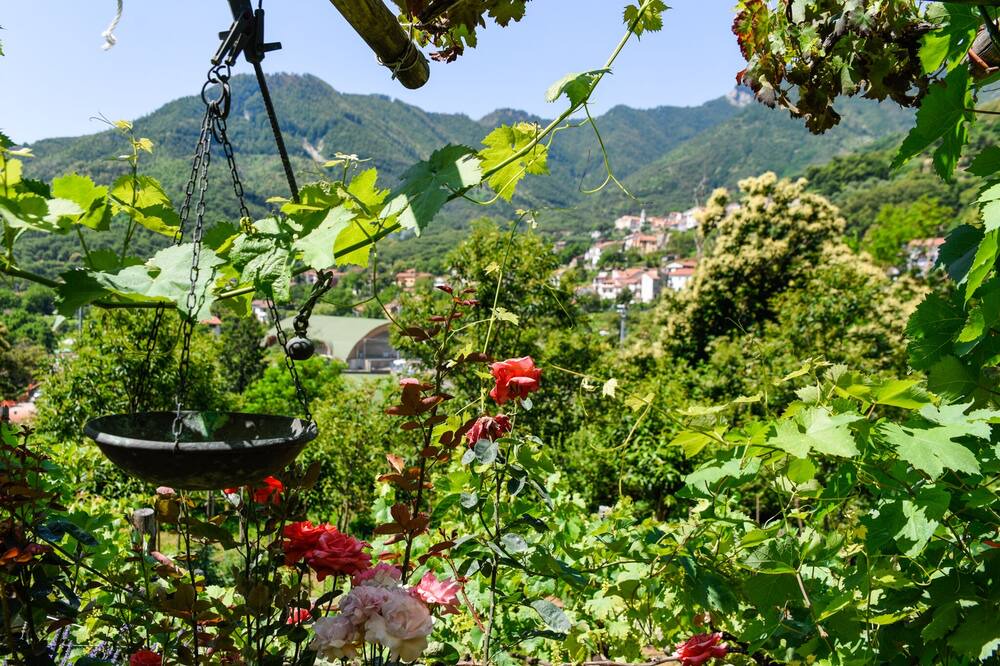 Photo of Outdoor in Tramonti