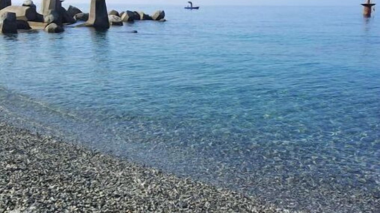 Photo of Others in Porto Salvo