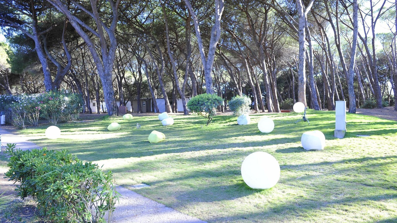 Photo of Others in Baia Domizia